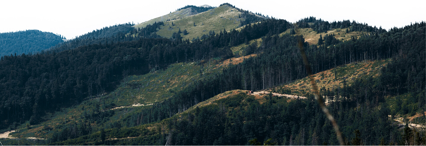 bg - green-trees-mountain-valley-sky-clouds